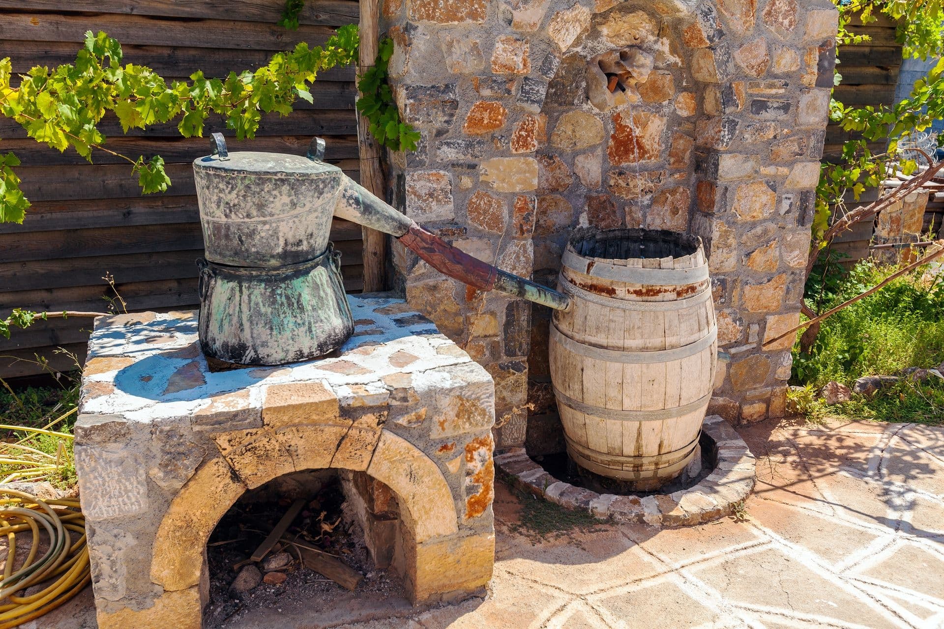 Elounda: Flavors of Crete Hands on Cooking Class
