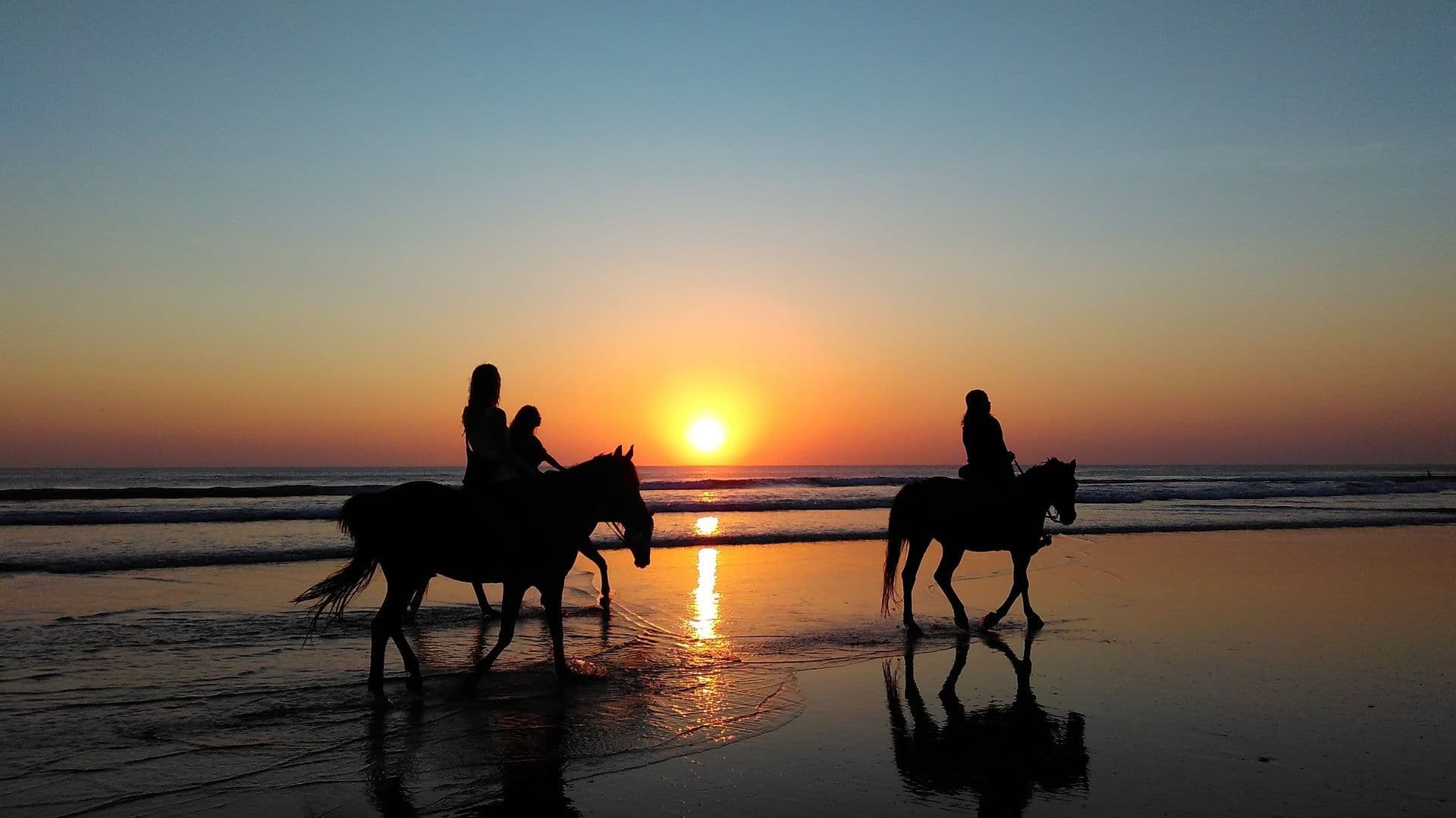 Horse Riding Santorini