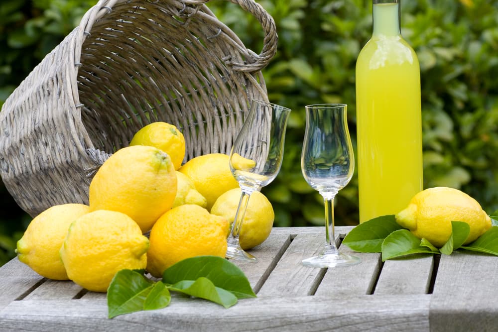 Sorrento Farm to Table Tour: Mozzarella Making and Olive Oil & Limoncello Tasting