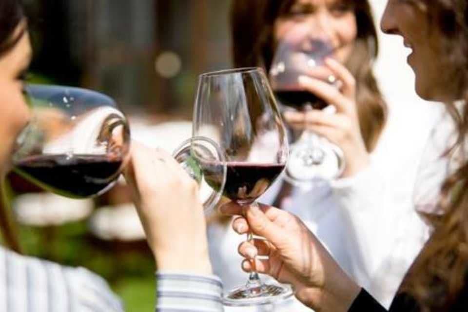 Italian Wine Tasting with Sommelier