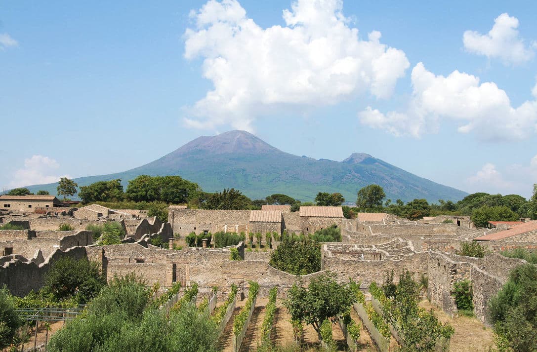 Winery Tour on Mt. Vesuvius and Visit of Pompeii