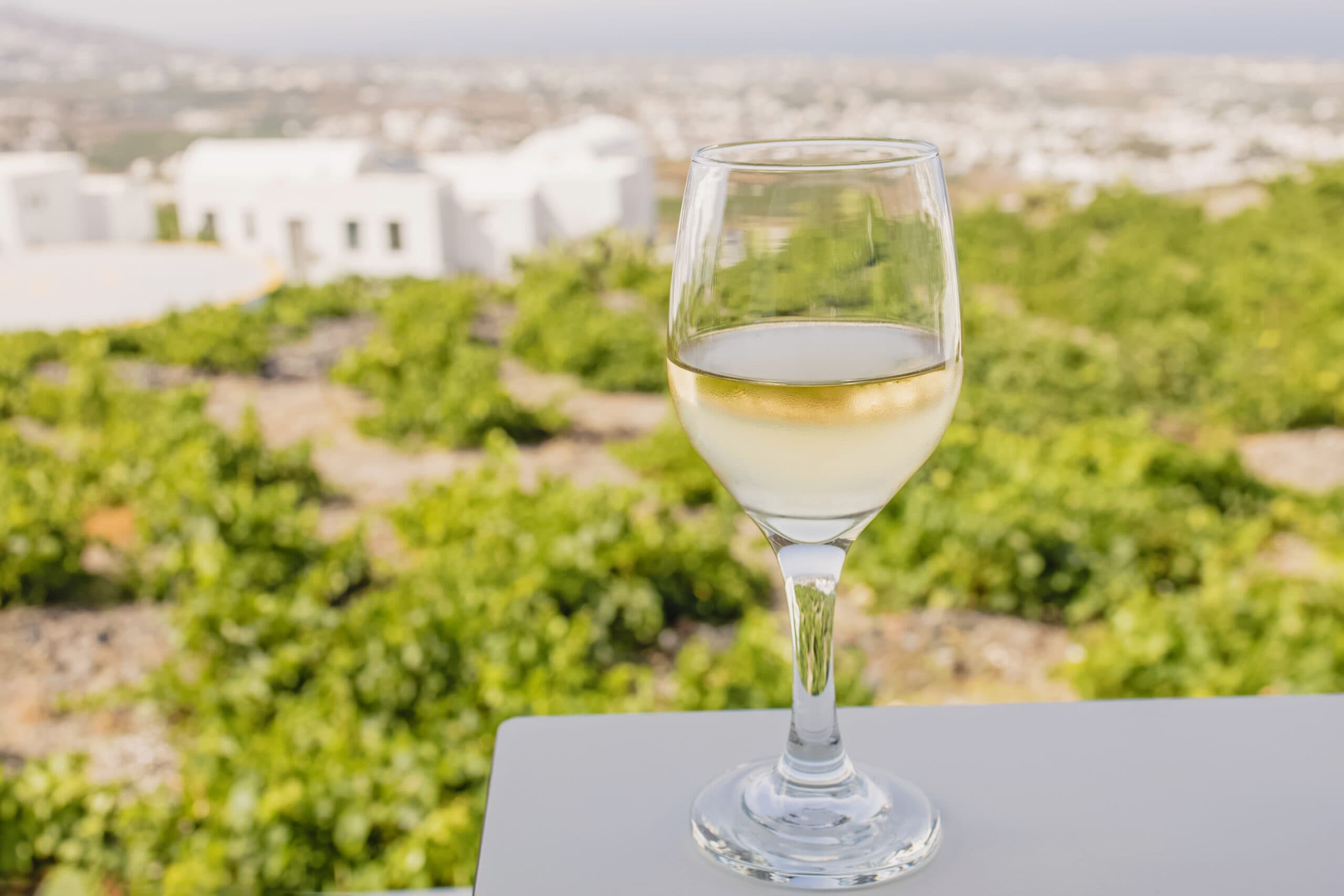 Glass,Of,Cold,White,Wine,Close-up,With,A,Blurred,Vineyard