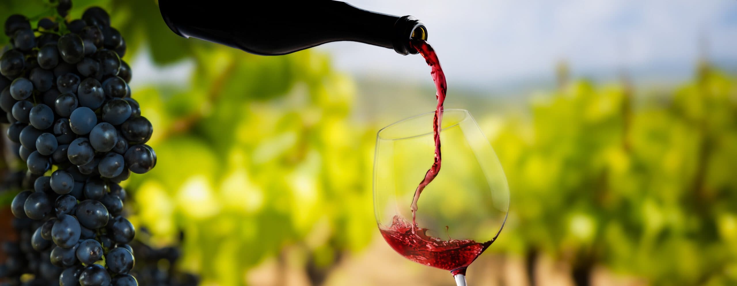 Athens Greek Wine Tour