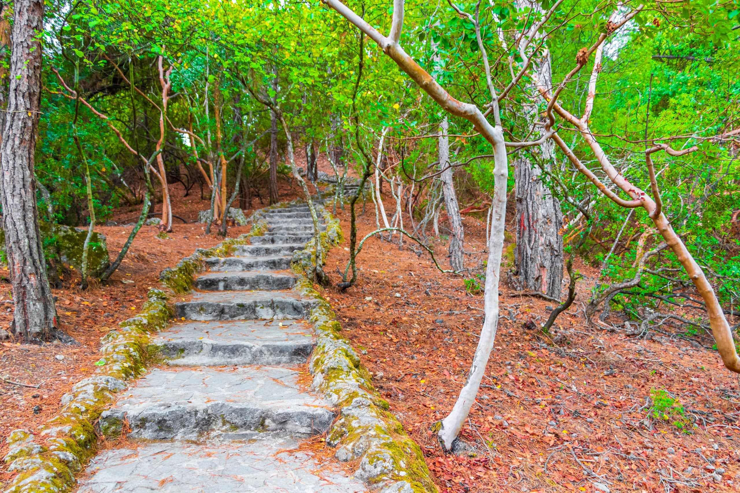 Stone,Stairs,Walking,Trekking,Path,Way,And,Route,In,The