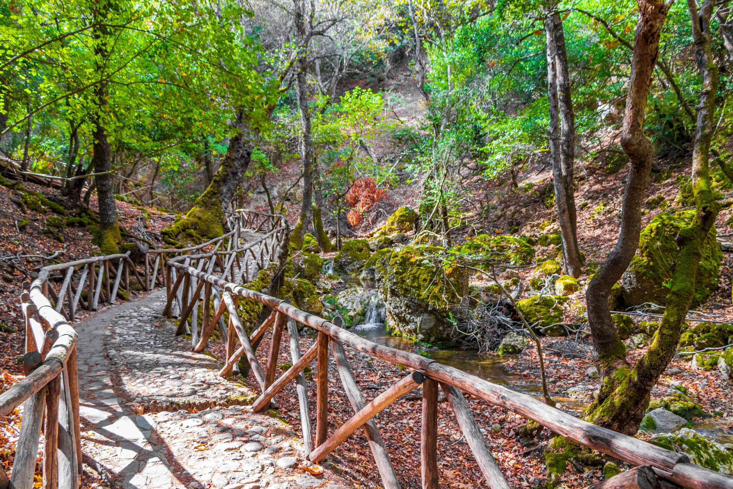 Wooden,Walking,Trekking,Path,Way,And,Route,In,The,Beautiful