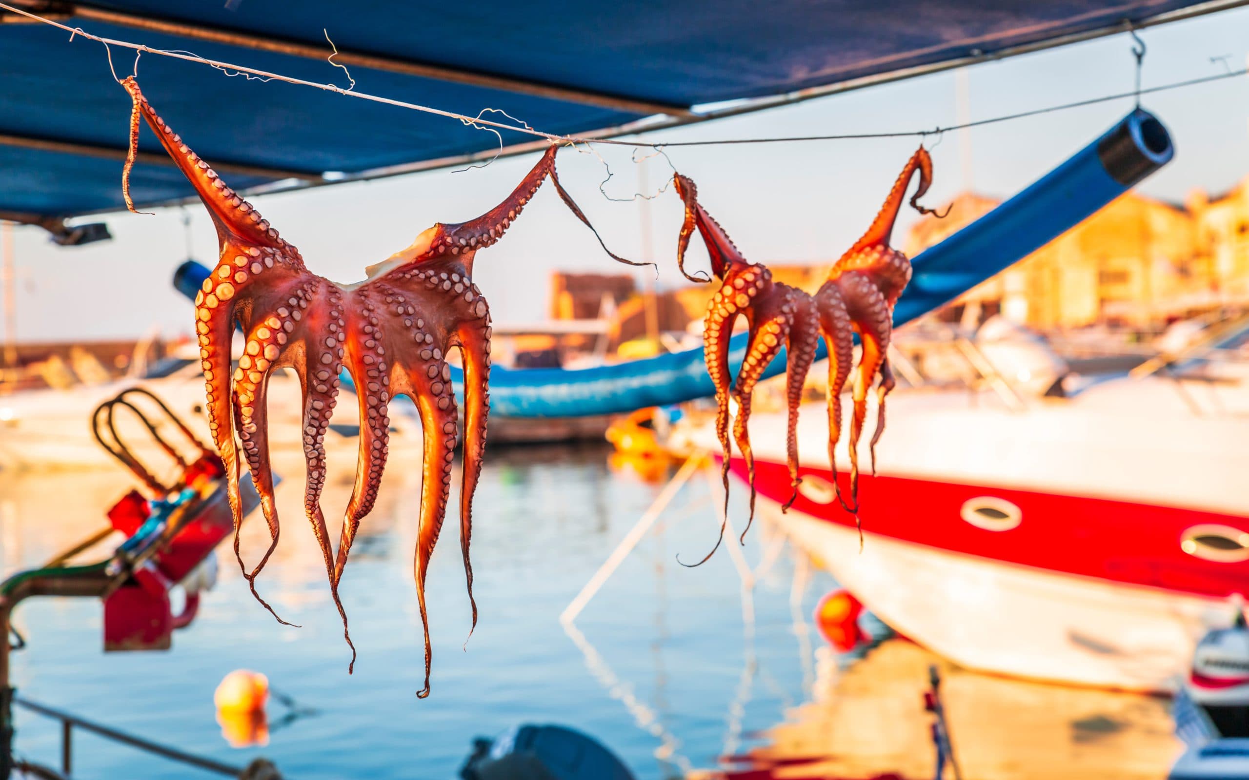 Octopuses,Hung,Up,To,Dry,On,Washing,Lines,,Chania,,Crete,