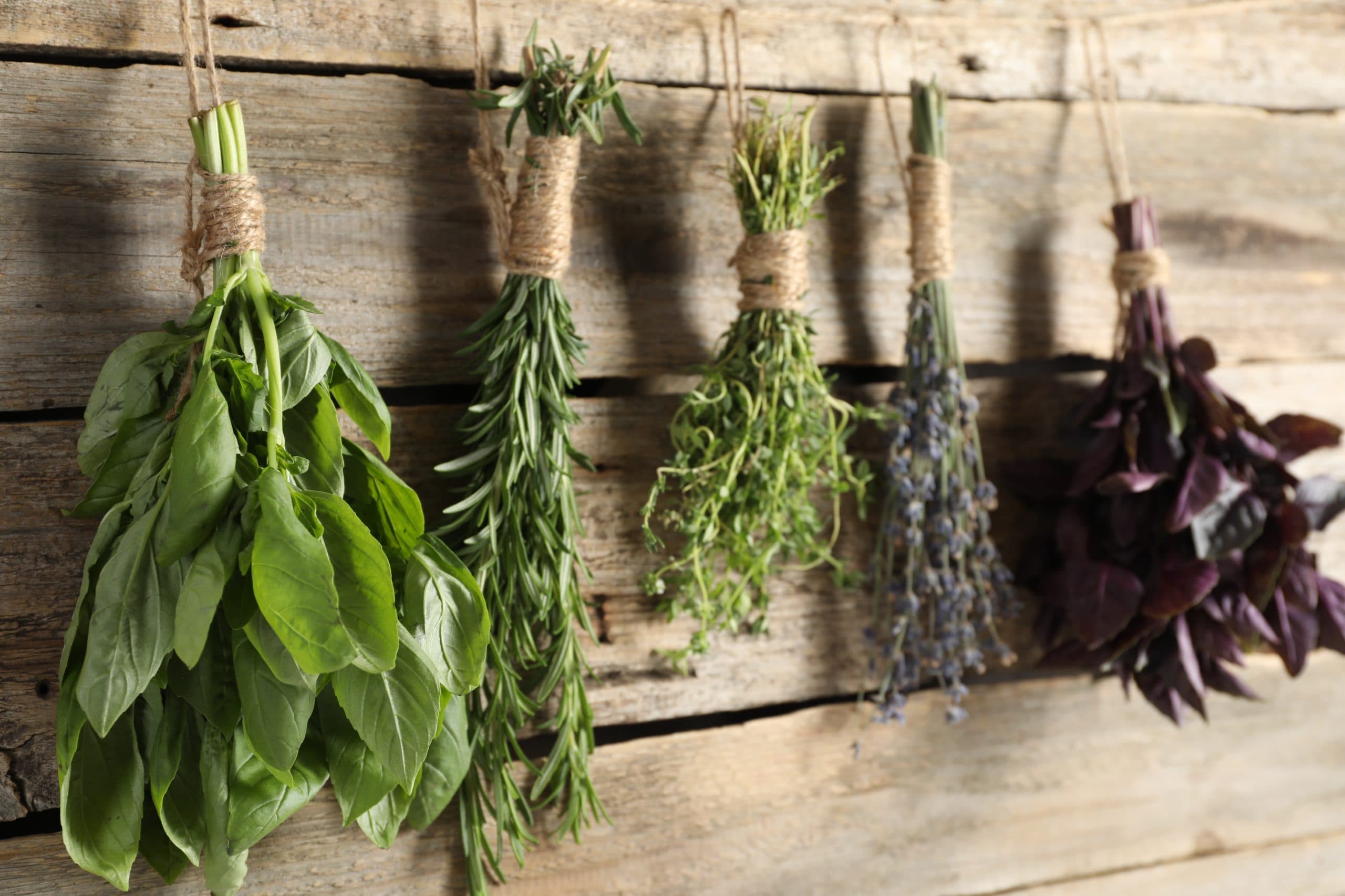 Bunches,Of,Different,Aromatic,Herbs,Hanging,On,Rope,Near,Wooden
