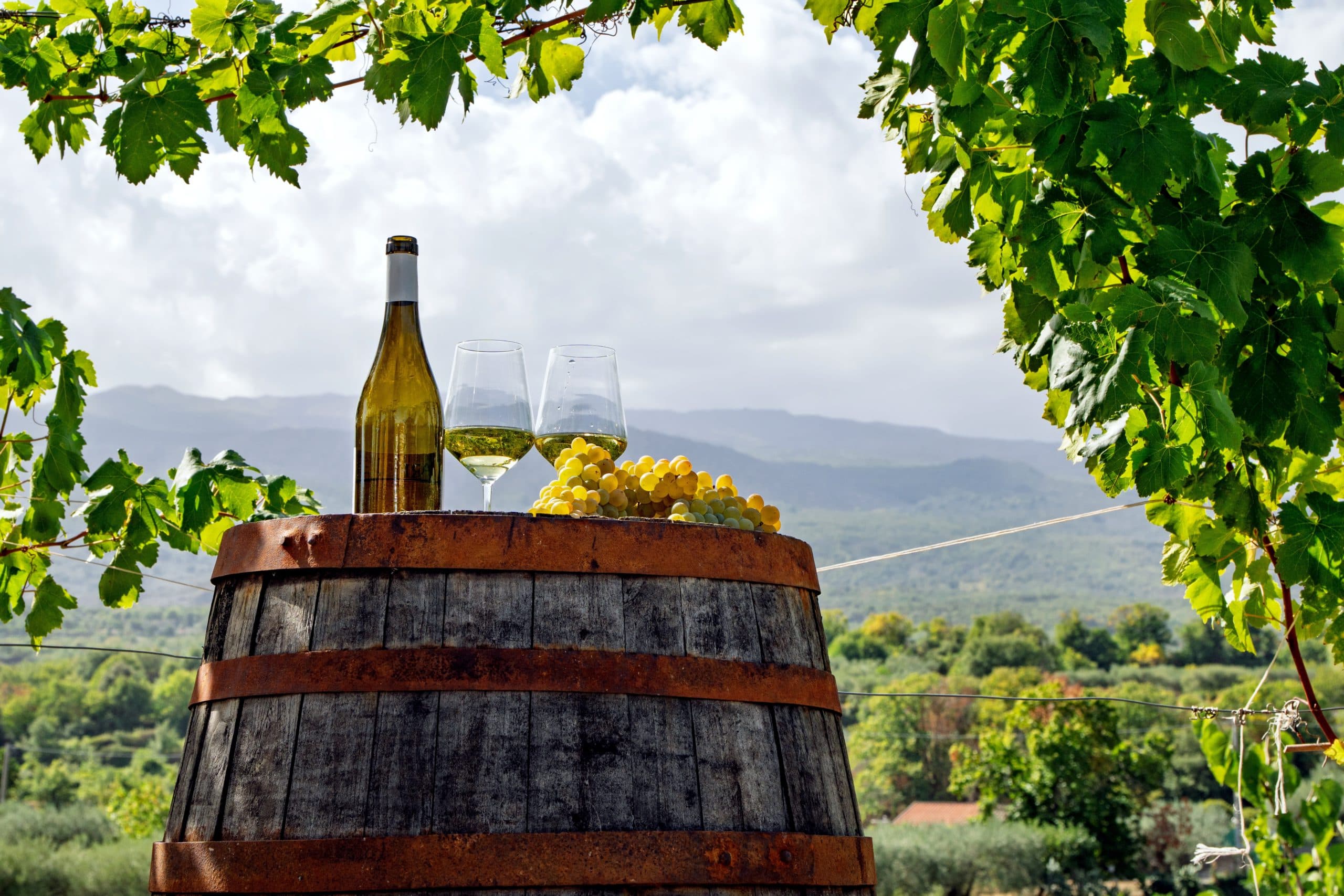 White,Wine,Bottle,And,Two,Glasses,With,Grapes,On,Wooden