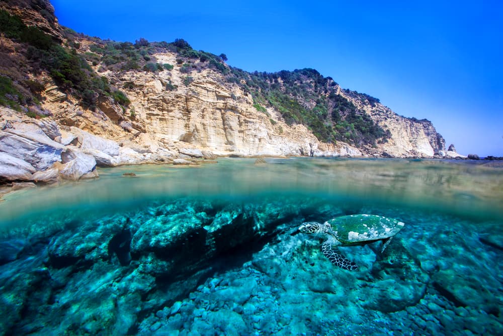 Private: Zakynthos Keri Kaiki Cruise