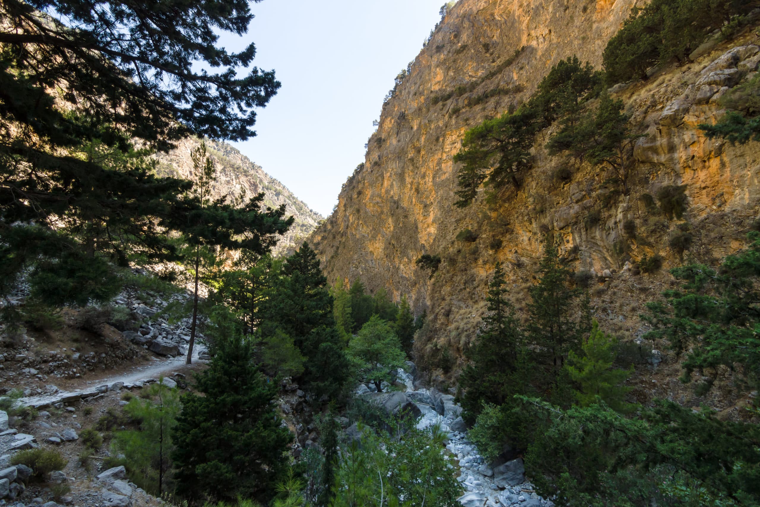 Samaria Gorge & the South Coast