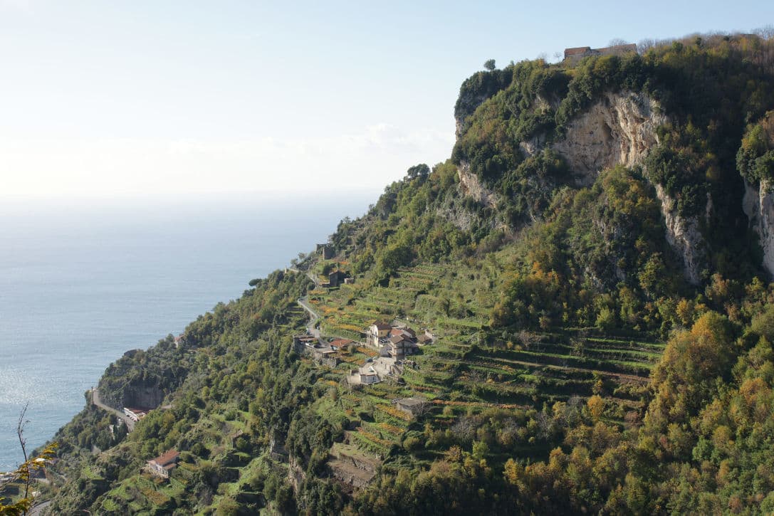 Day Trip: Ravello to Amalfi & Marisa Cuomo Wineries in Furore