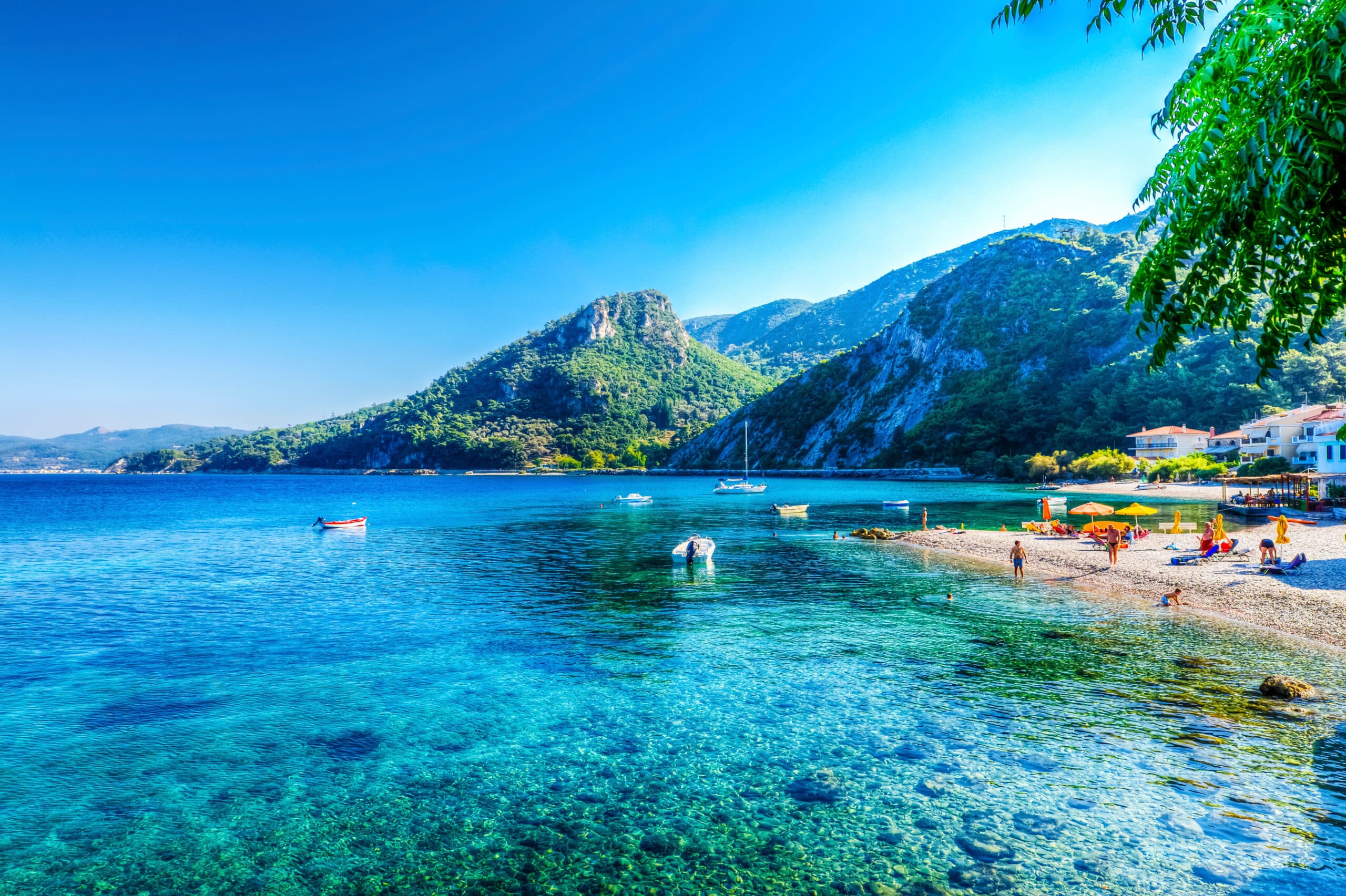 Explore Lush Natural Beauty