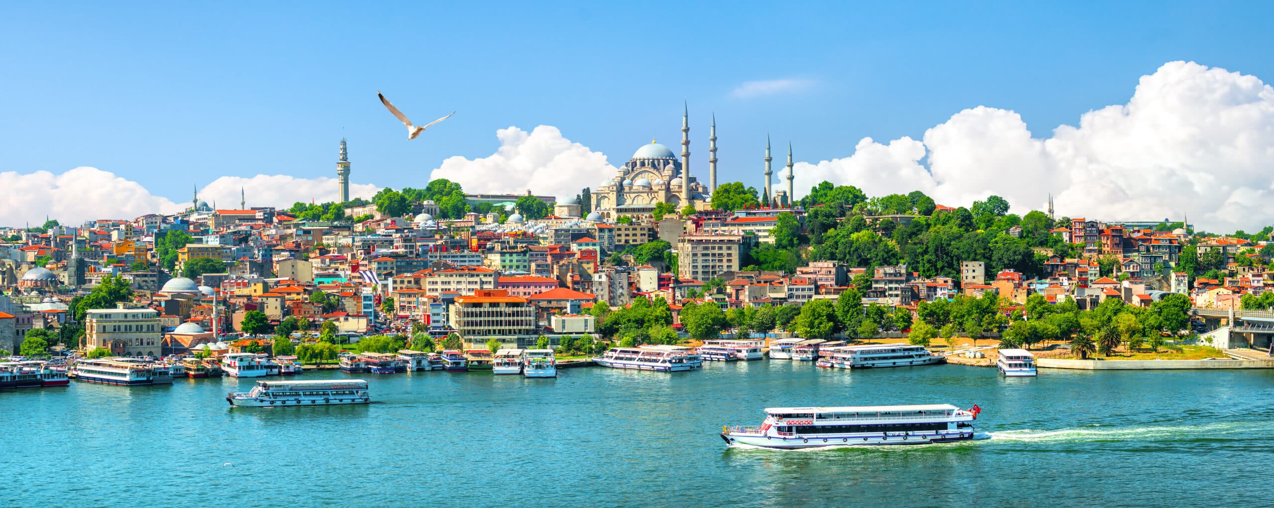 Istanbul: Private HD Bosphorus Cruise
