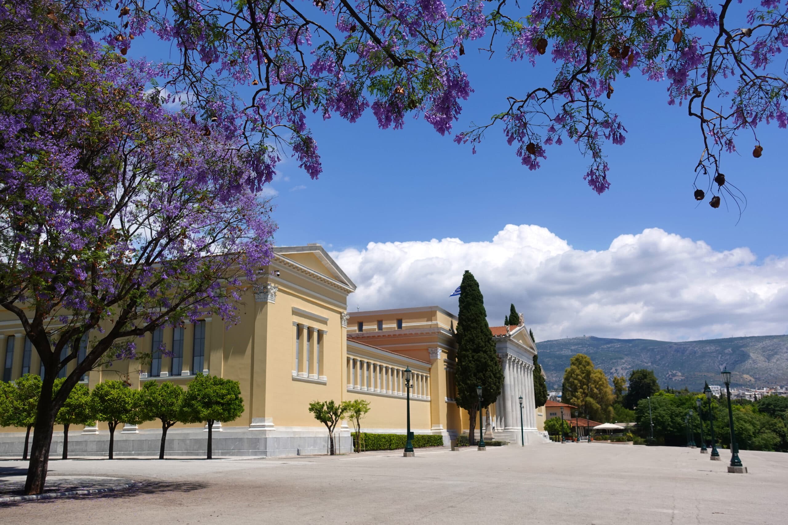Athens,National,Gardens,And,Public,Zappeion,Hall,With,Beautiful,Jacaranda