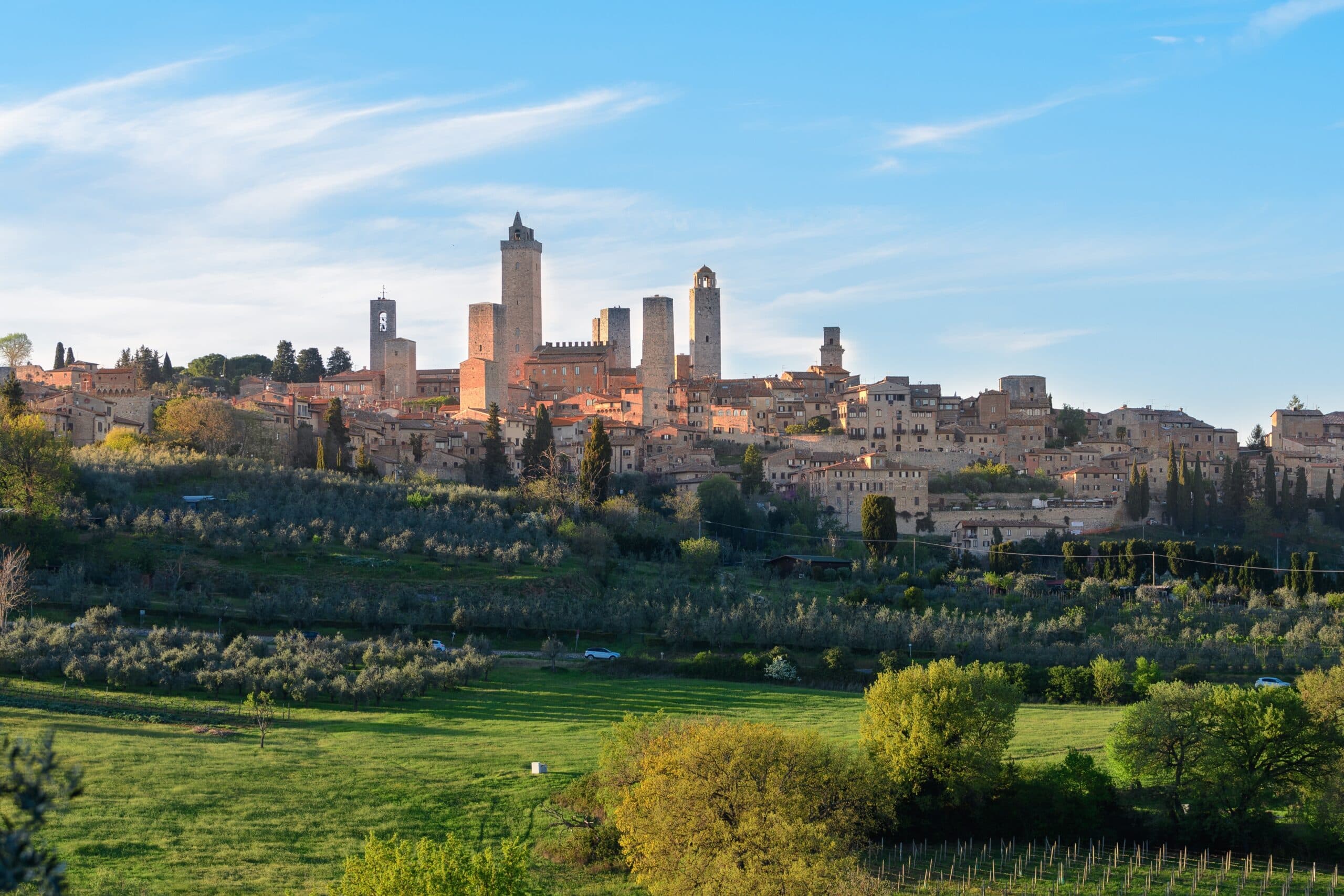 Private: Florence- Tour of San Gimignano, Siena, and Wine Tasting (with lunch)