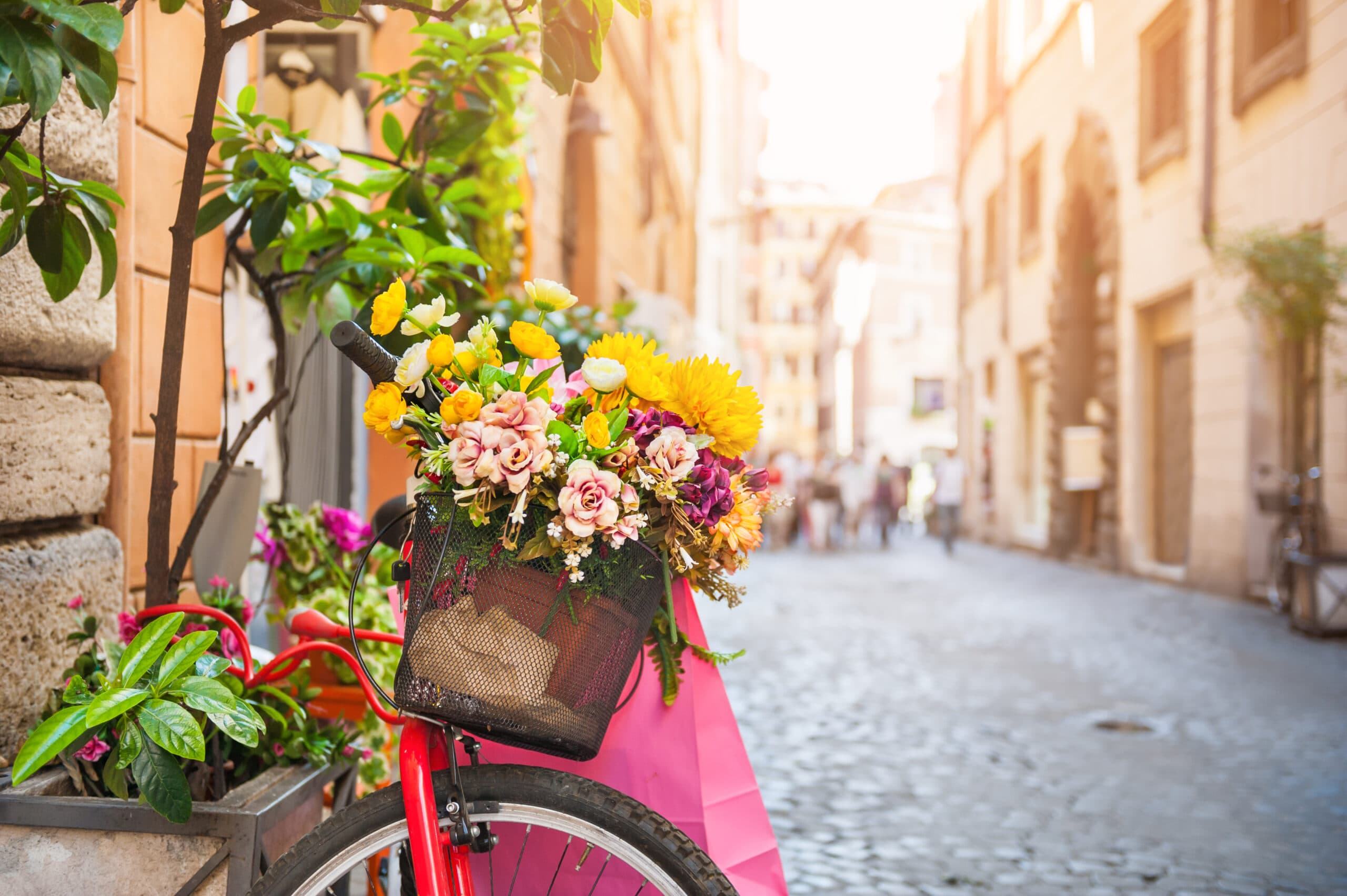 Private: Rome – HD City Center E-Bike Tour