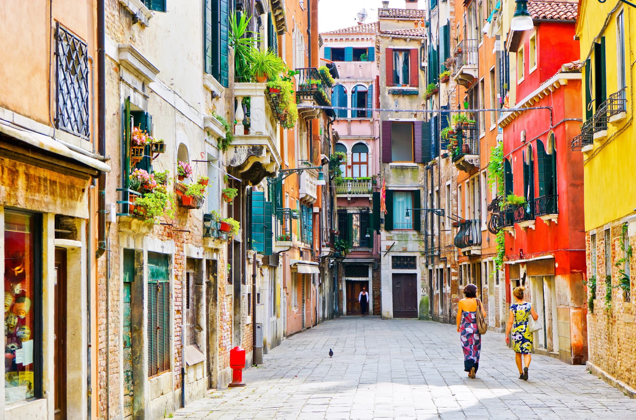 Private: Venice- Bacari Walking Tour of Venice