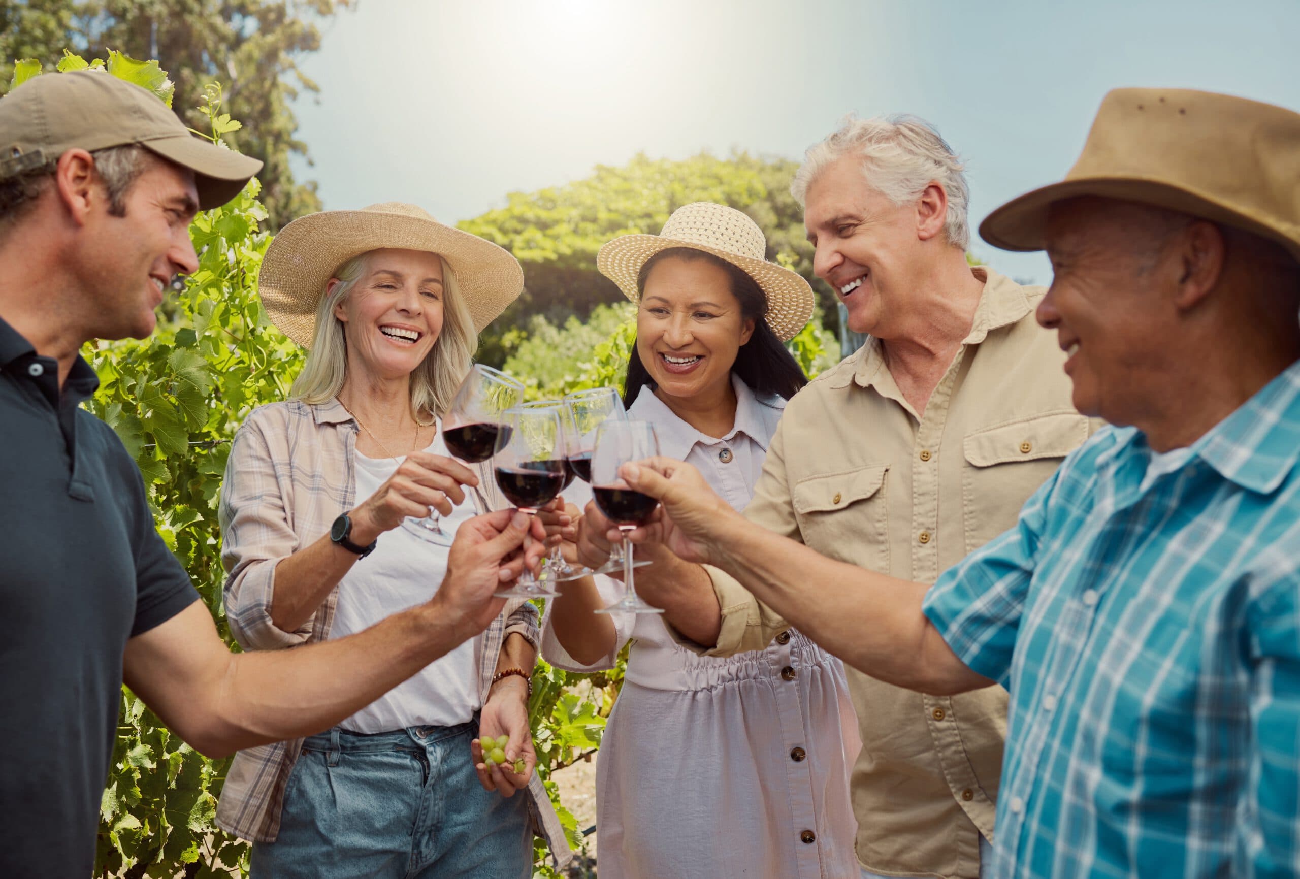 Vineyard,,People,And,Toast,As,Friends,With,Wine,Glass,For