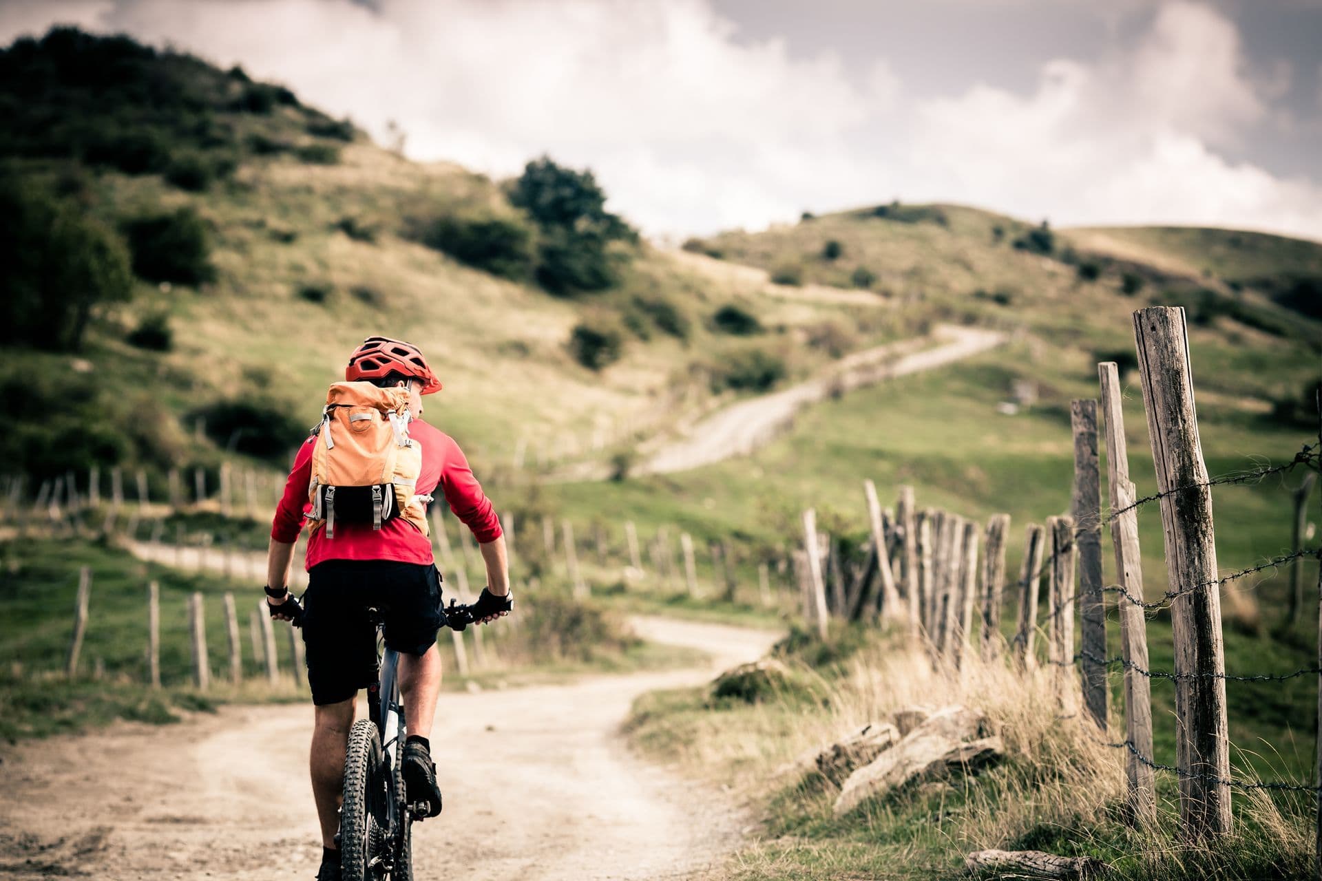 Cycling in the White Mountains